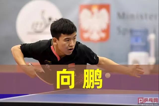 提到 提到