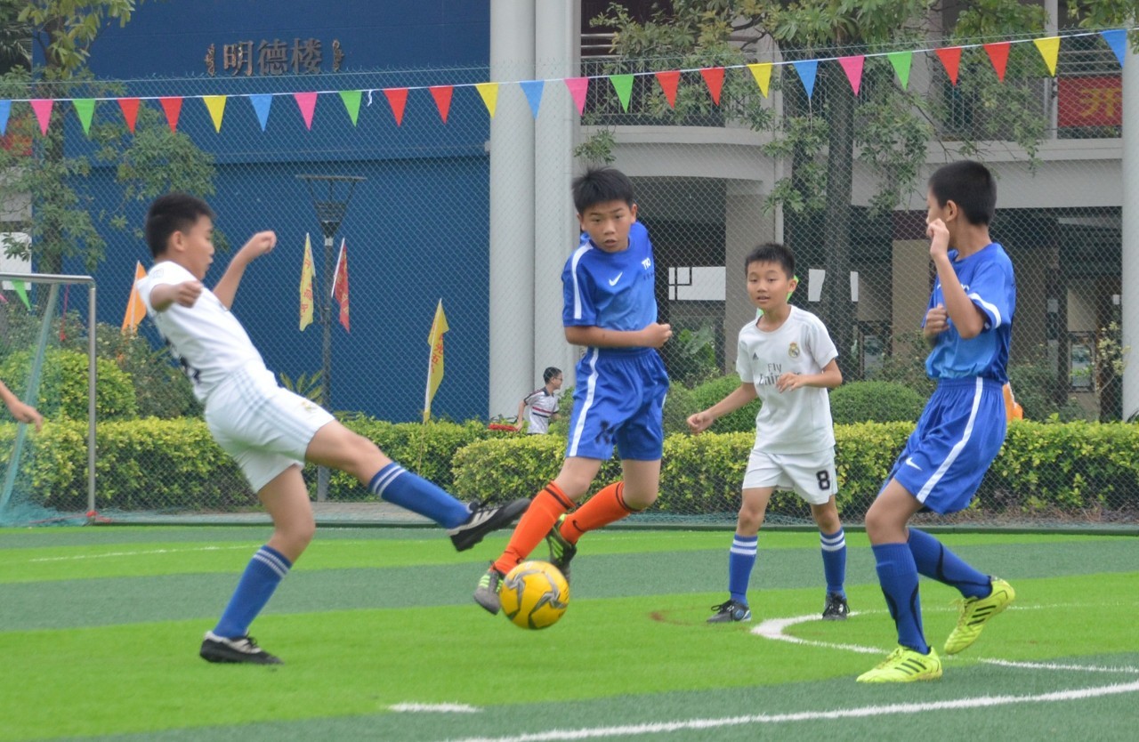 这是一段未 这是一段未