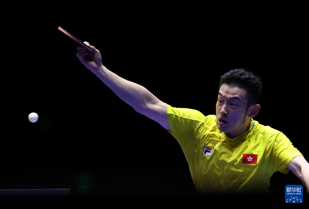 自我怀疑的 自我怀疑的