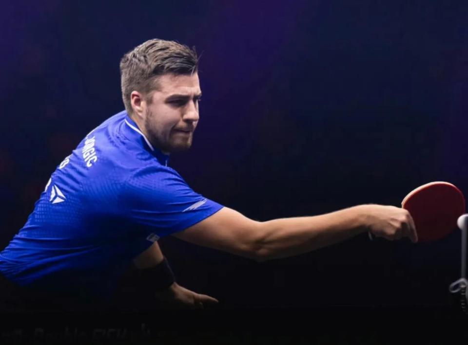 我们看到的 我们看到的