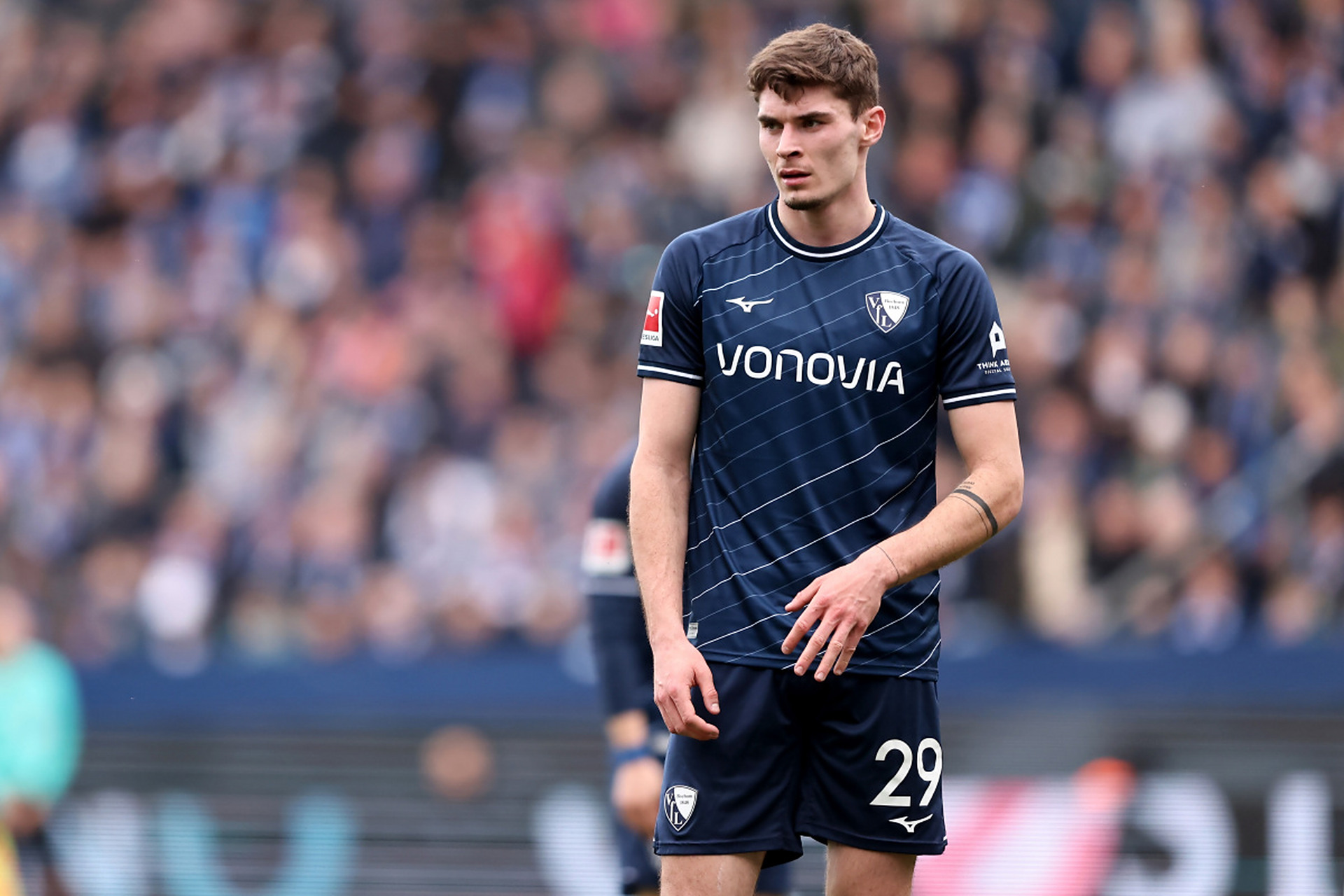 仅展示了浙 仅展示了浙