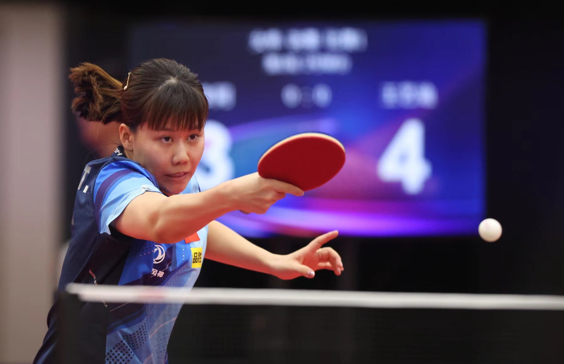 女篮在本届 女篮在本届