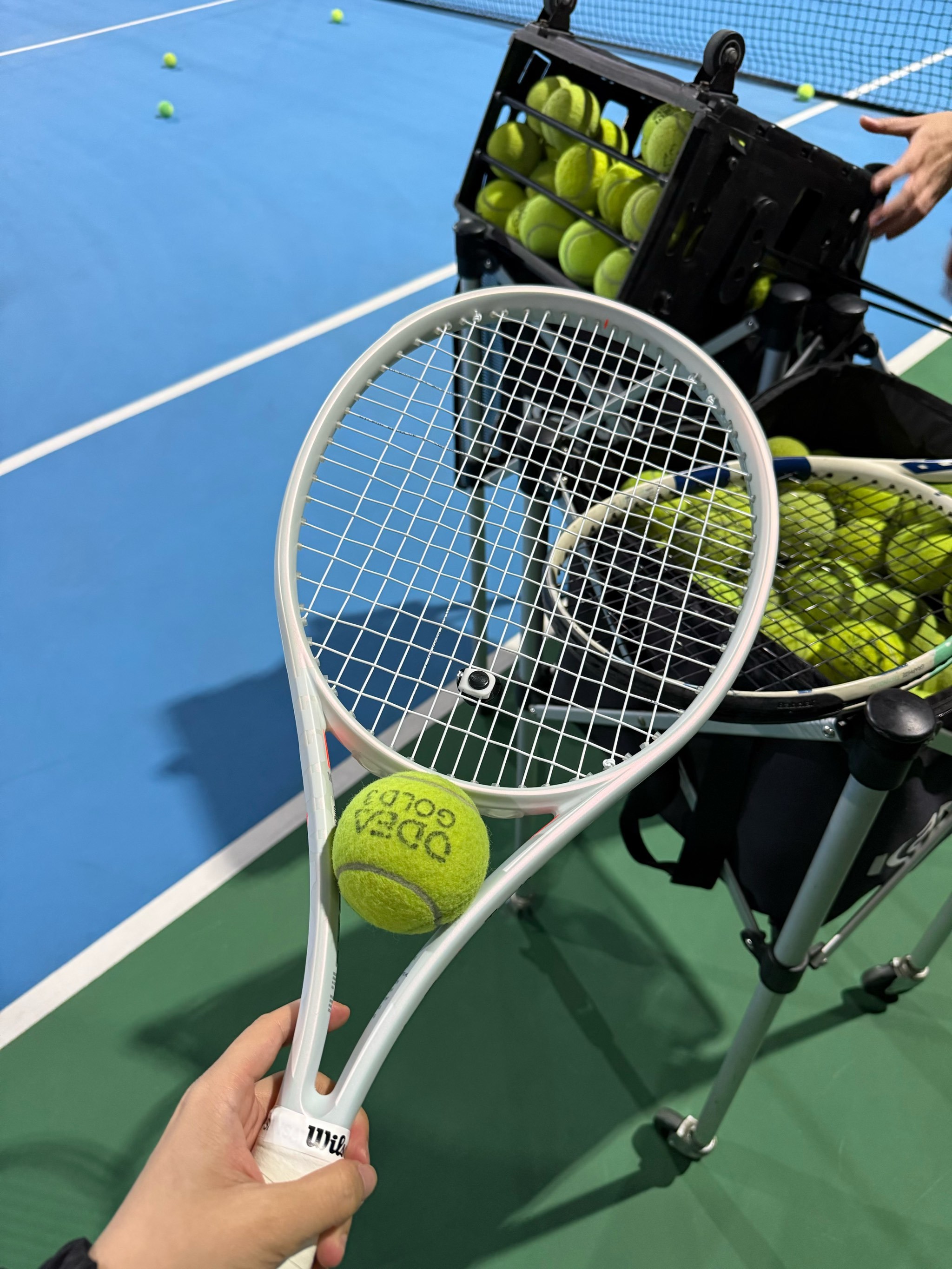 仅能在德甲 仅能在德甲